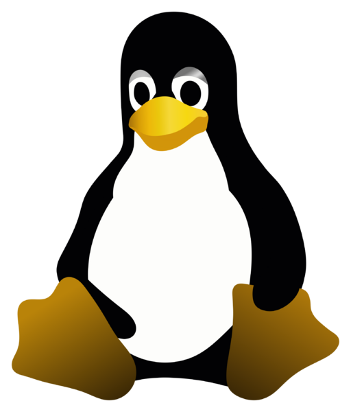 File:Linuxizenet-logo.svg